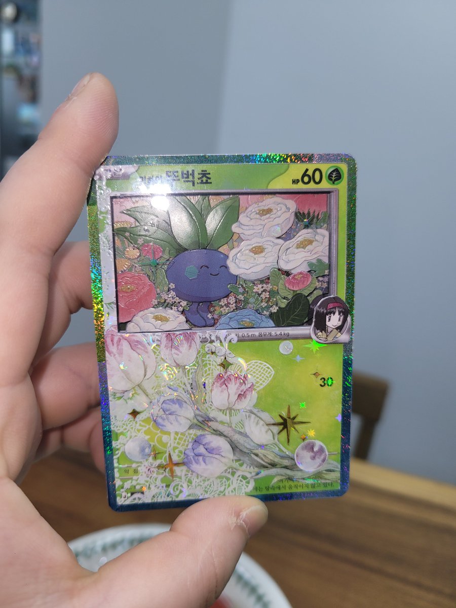 잎사귀먹기 tweet media