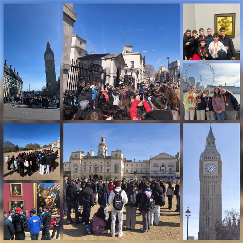 IES ADAJA tweet media