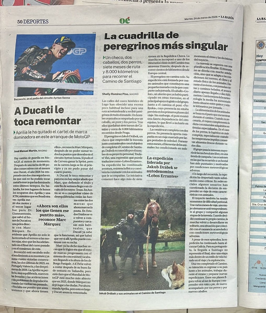 Shelly Ramírez Pino tweet media