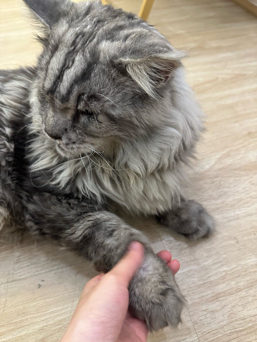 kathiresan tweet media