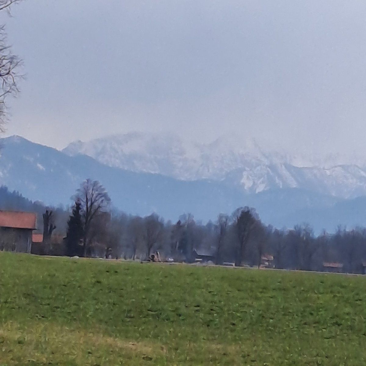 Inge Zierhut tweet media