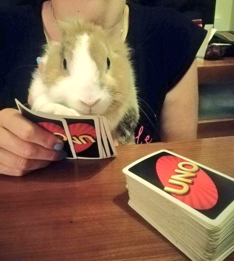 Alba Ferrás Rey tweet media