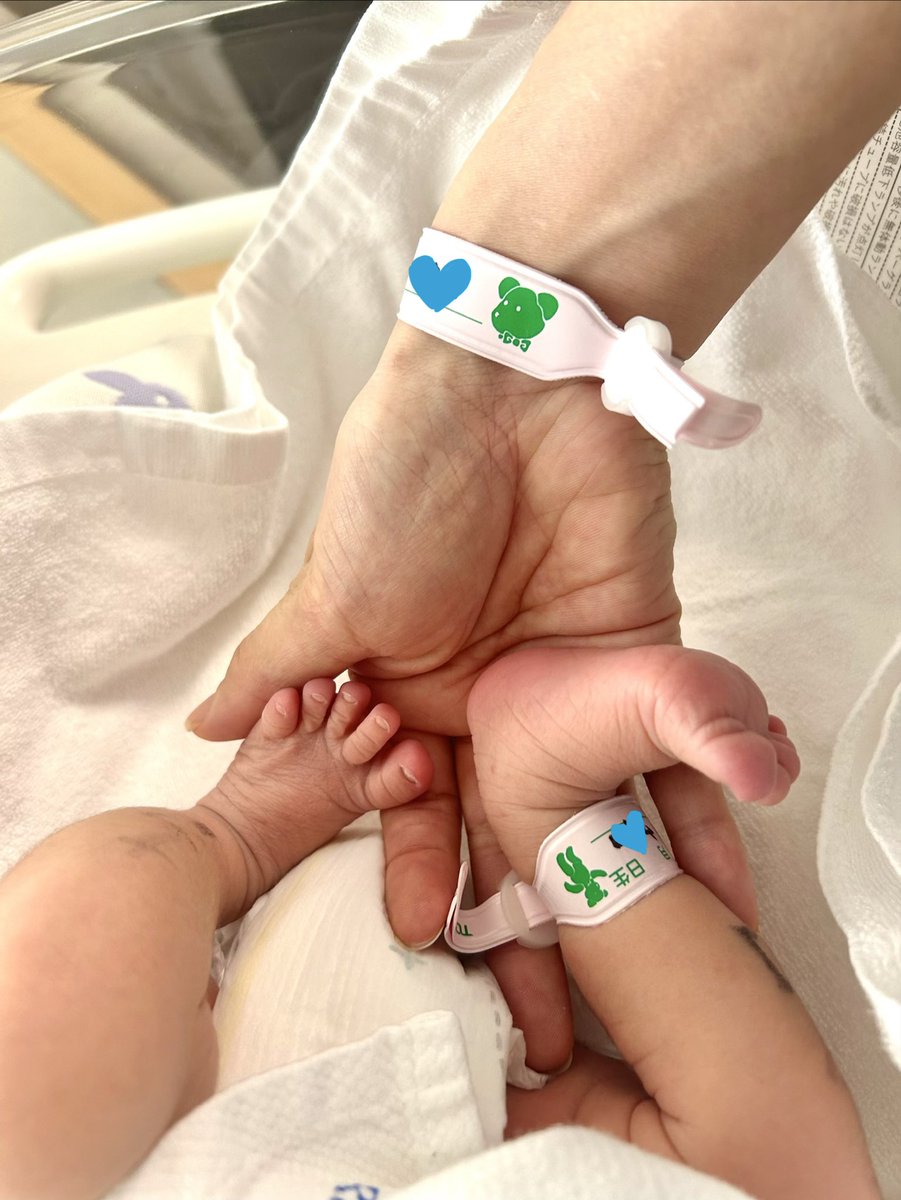 古詠🐎 tweet media