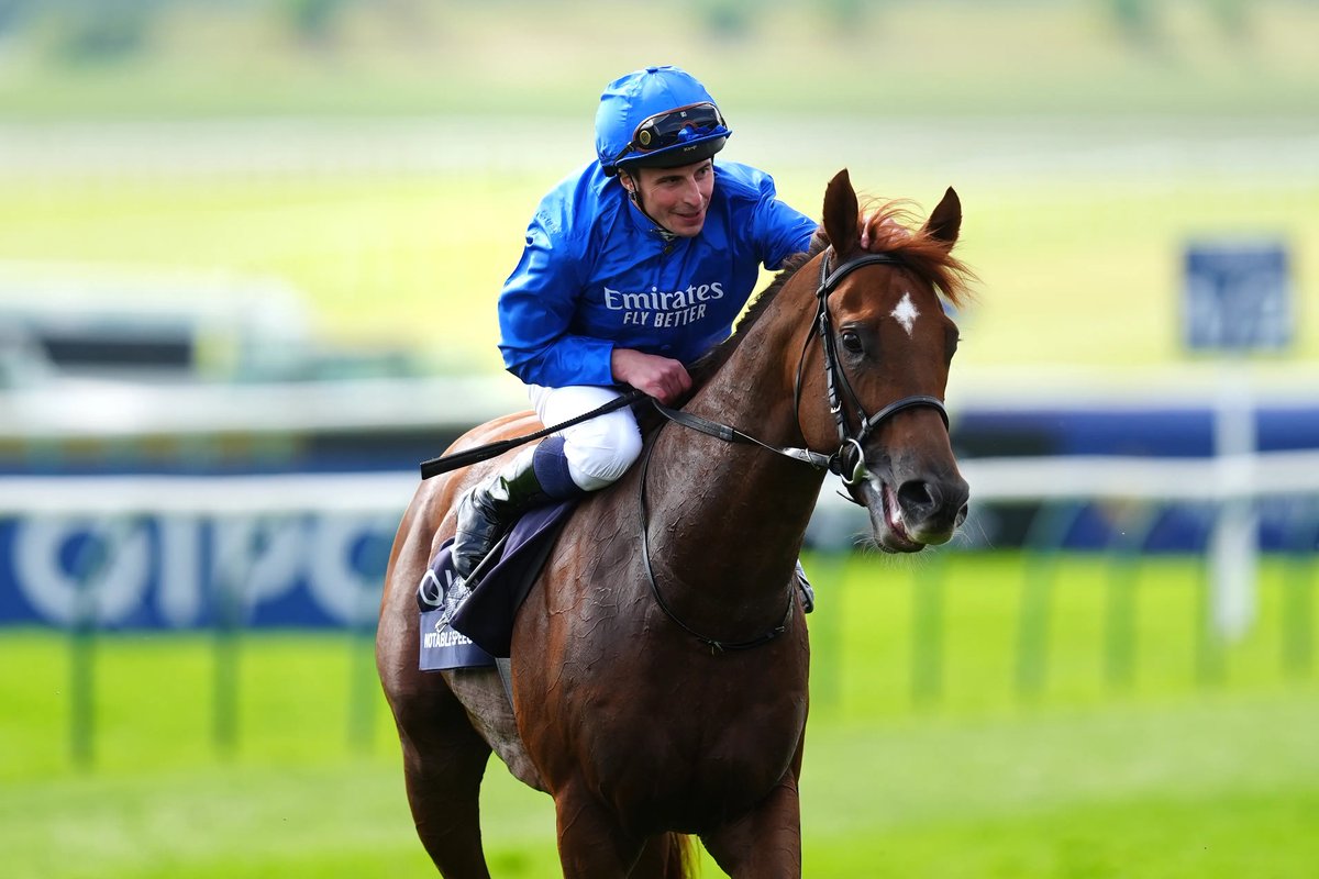 Racing Tips tweet media