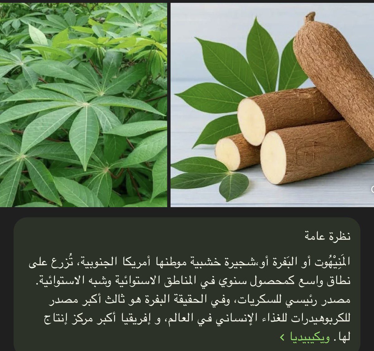 Thamer H tweet media