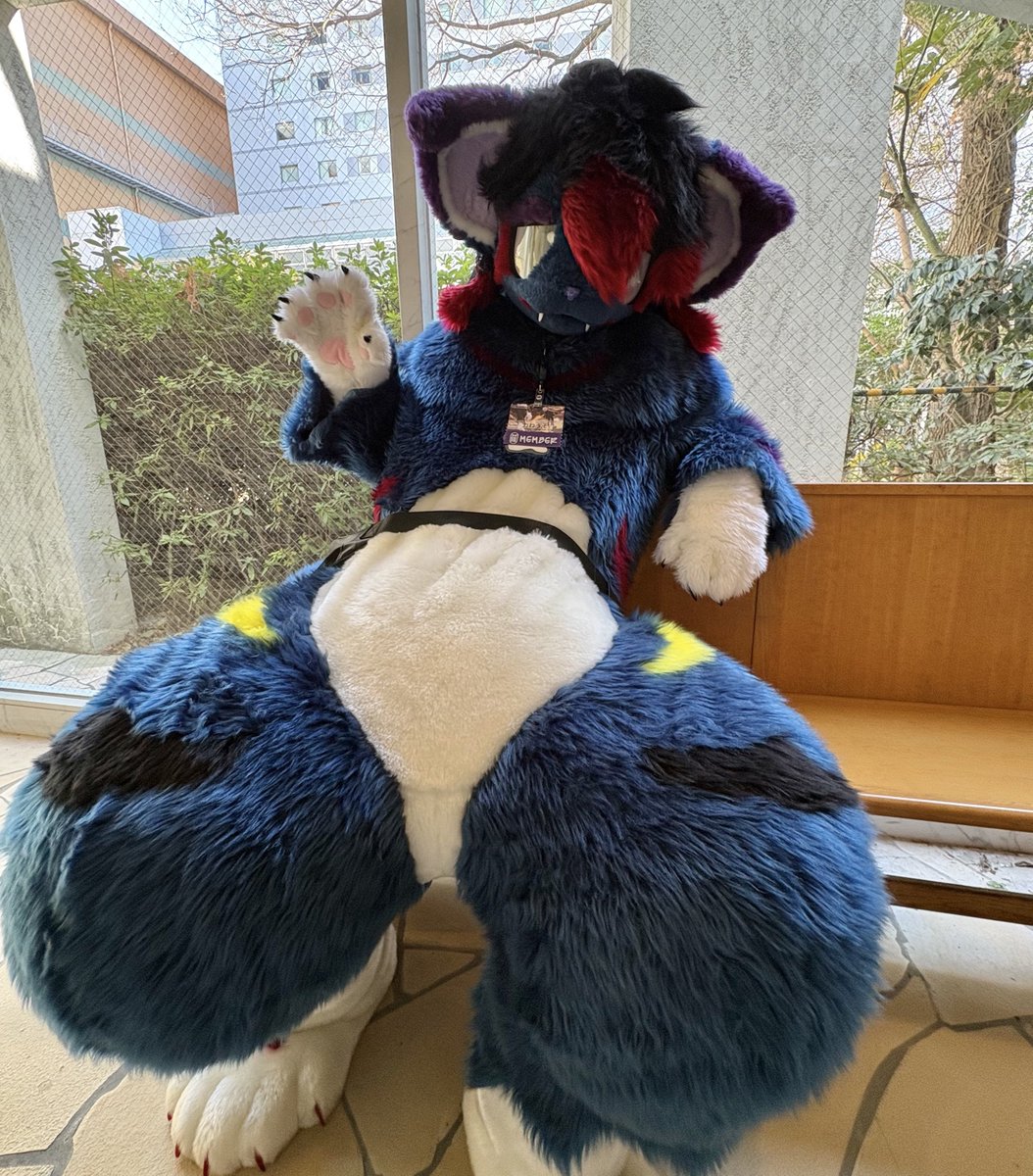 力わうそ tweet media