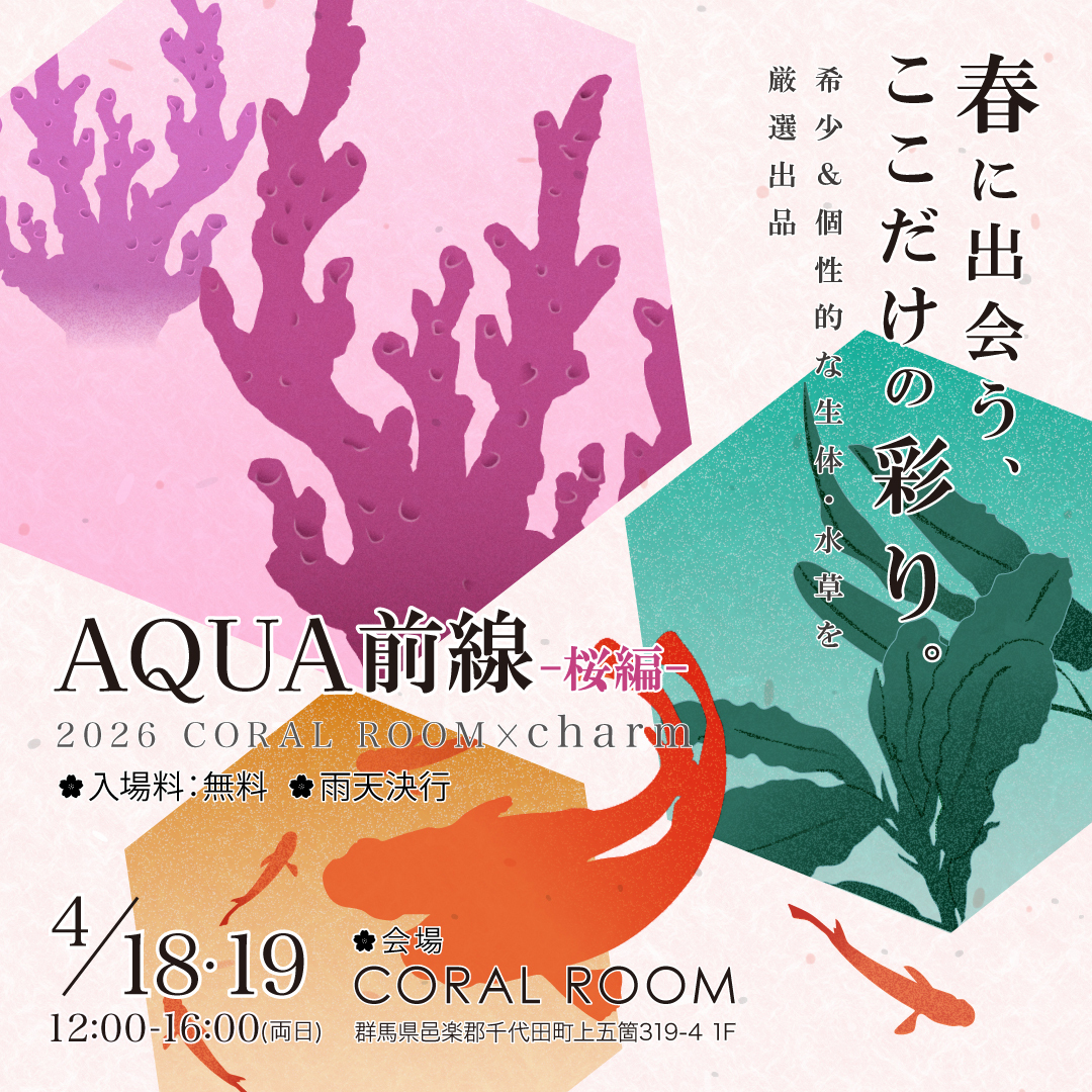 CORALROOM公式 tweet media