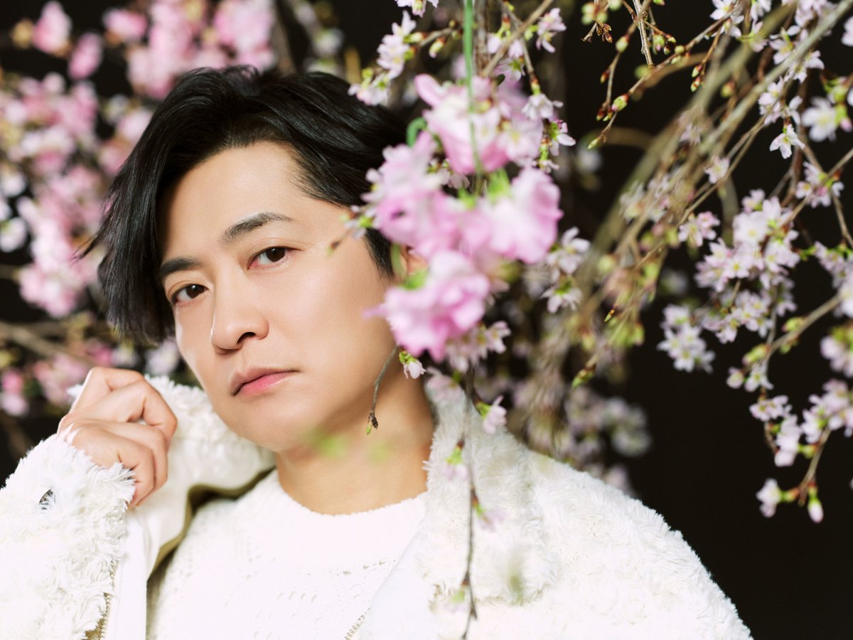 【公式】TVガイドPERSON/dan/VOICE STARS/Stage Stars tweet media