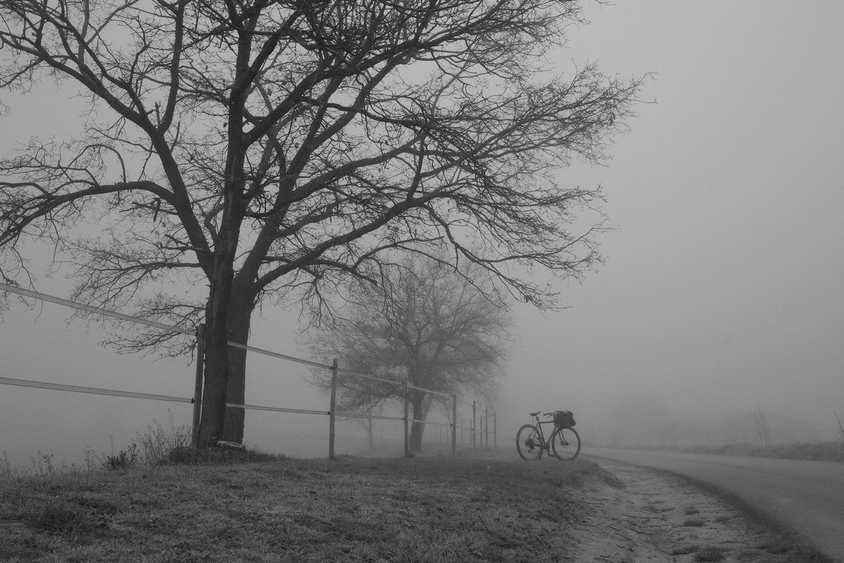 aprenent65 tweet media