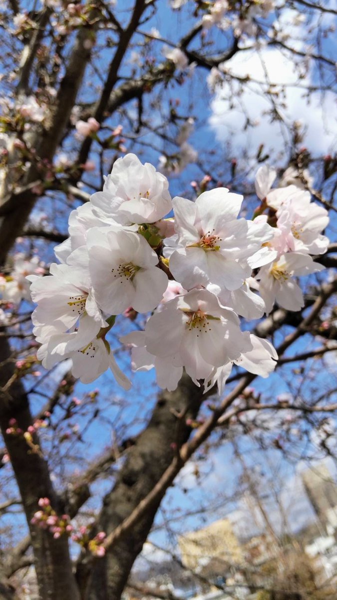 大路ロビー@山口市 tweet media