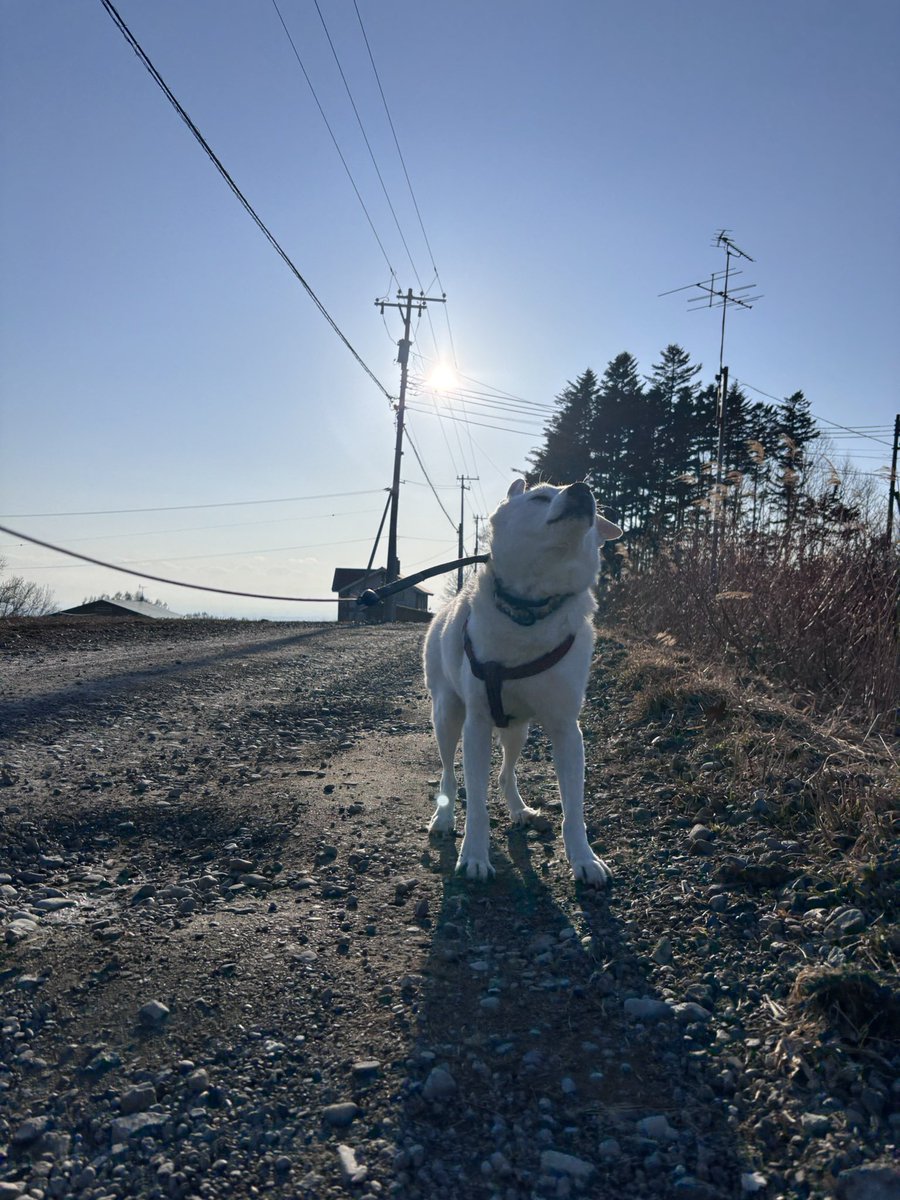 長谷川拡介 tweet media