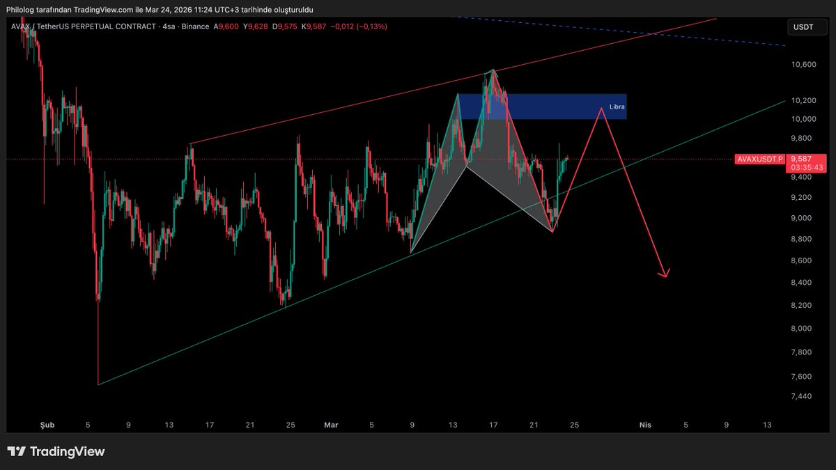 Mert_Botradex tweet media