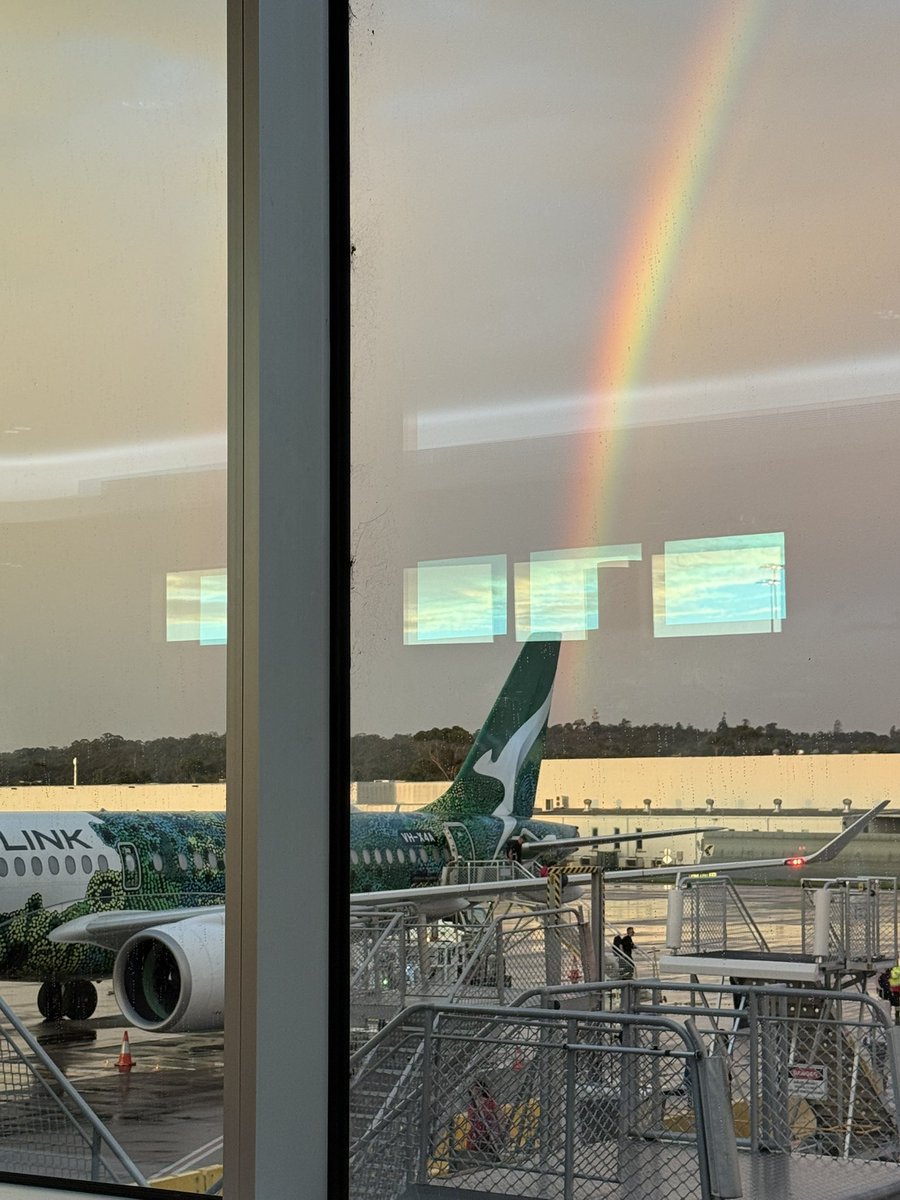 David Fitzgerald tweet media