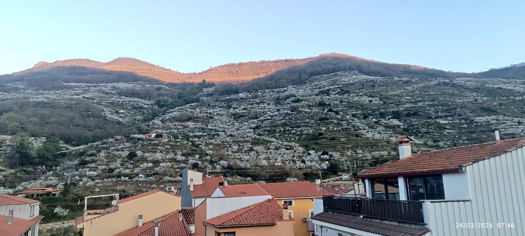 Nava del Concejo tweet media