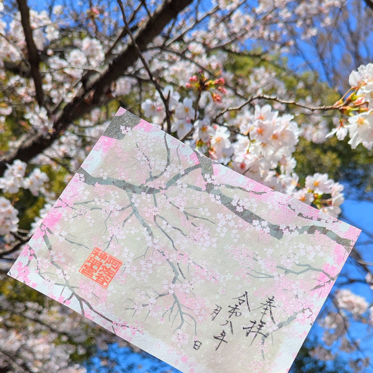 阿佐ヶ谷神明宮 tweet media