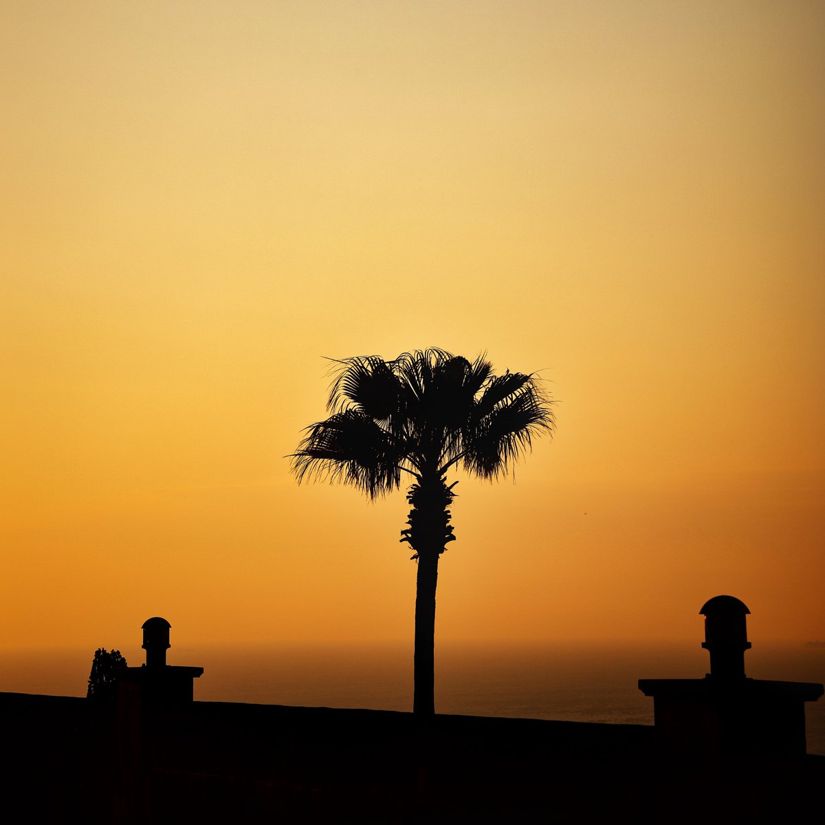 William Hulbert Photography tweet media