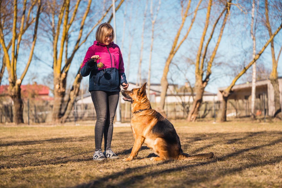 Liepāja tweet media