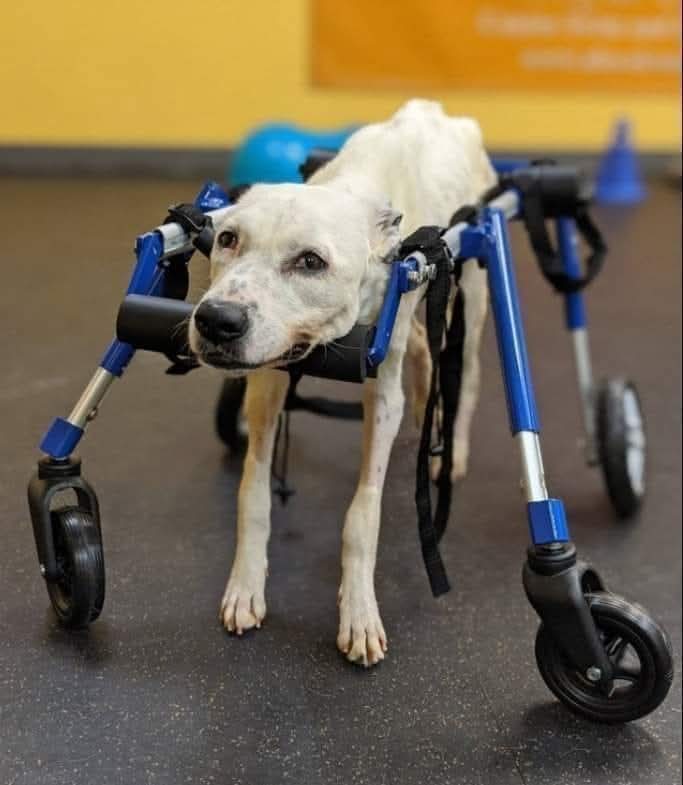 Kristina Bolten tweet media