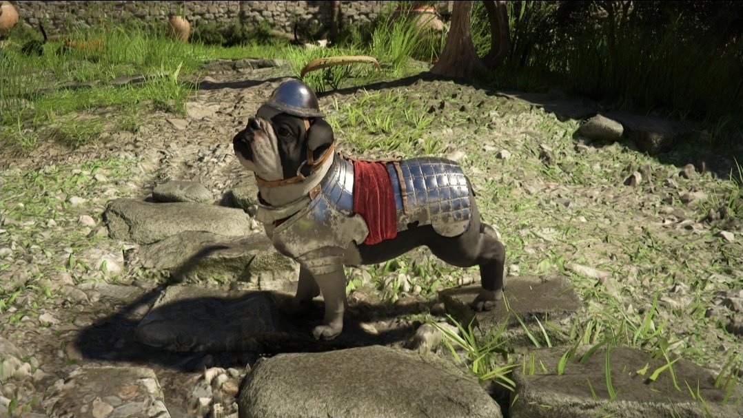 Duca Andrea tweet media