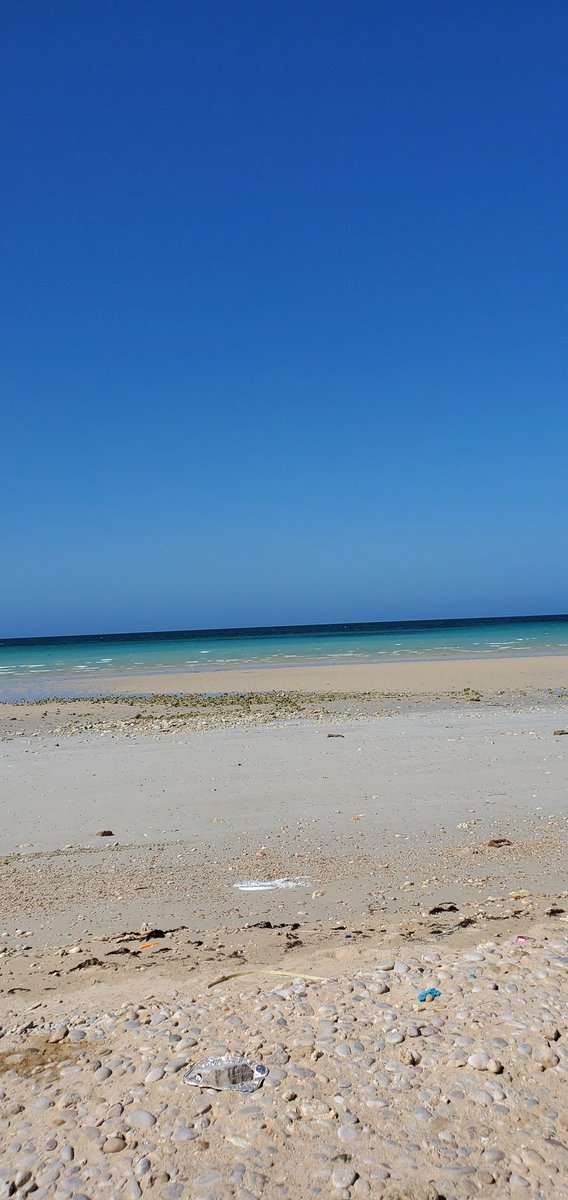 Mohamed Somali tweet media