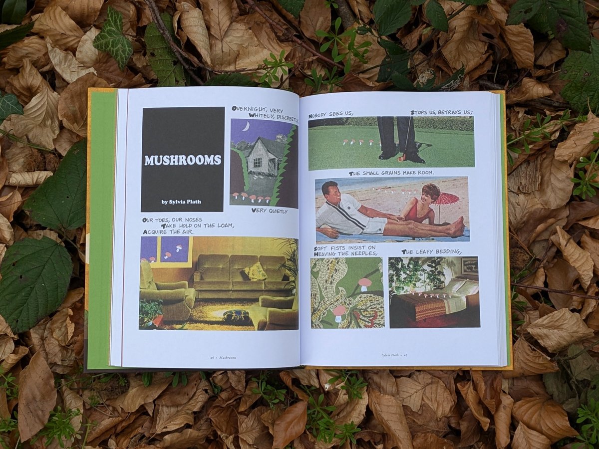 Plough Books tweet media