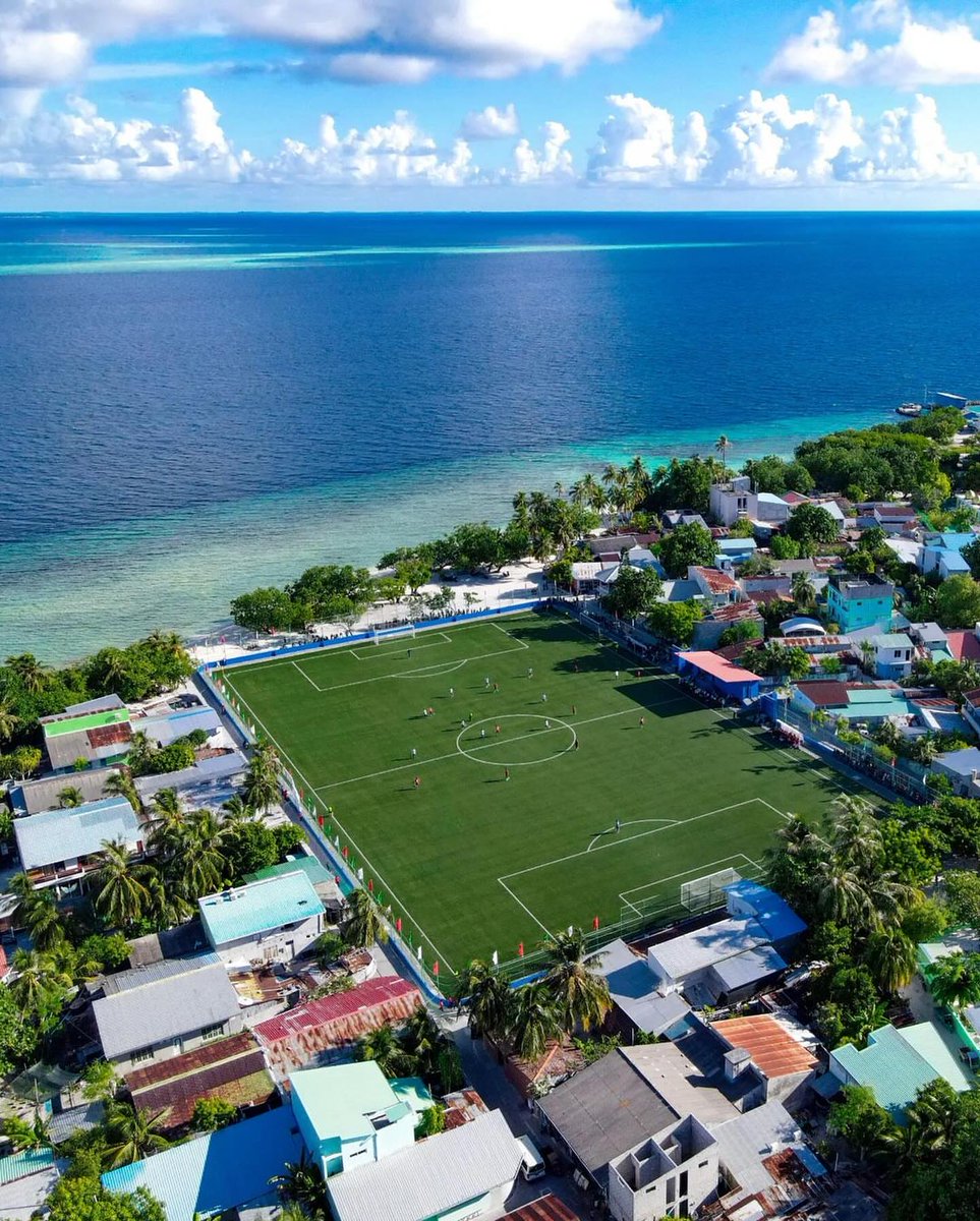 The World tweet media