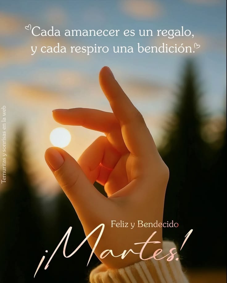 𝓔𝓻𝓮𝓷 𝓒𝓱𝓪𝓿𝓮𝔃 ★🔥 tweet media