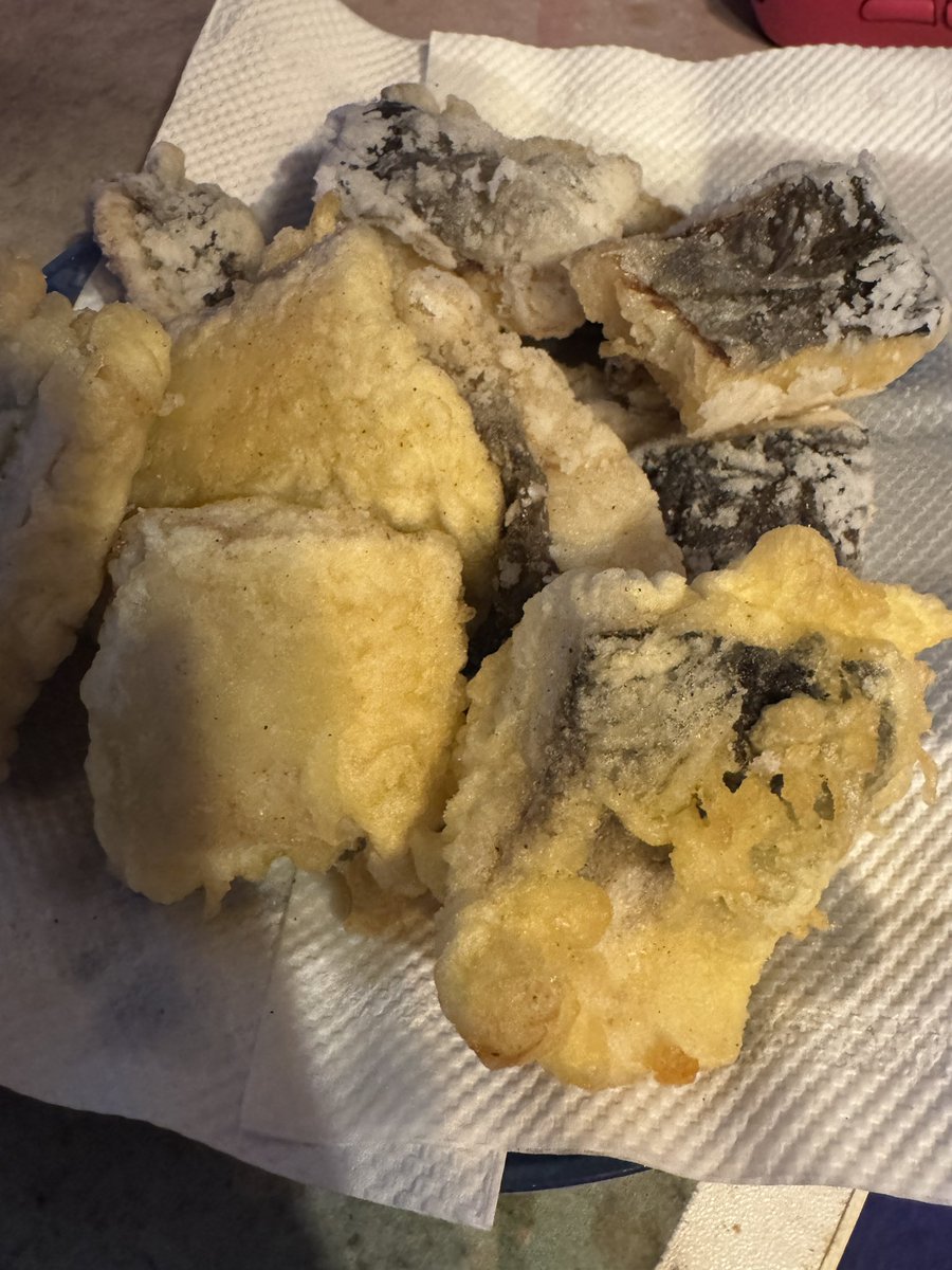 MesiAzera's tweet photo. 今日の釣果
海アメマス食うとこいっぱいあっていい https://t.co/X48EEQnJv6