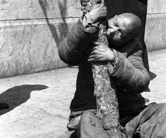 喵主席爱吃蛋炒饭🇨🇳 tweet media