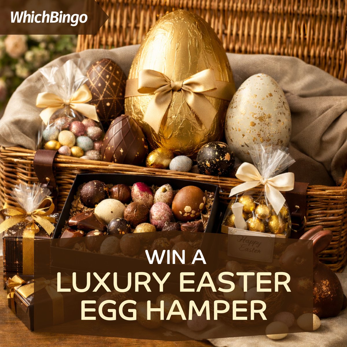 WhichBingo tweet media