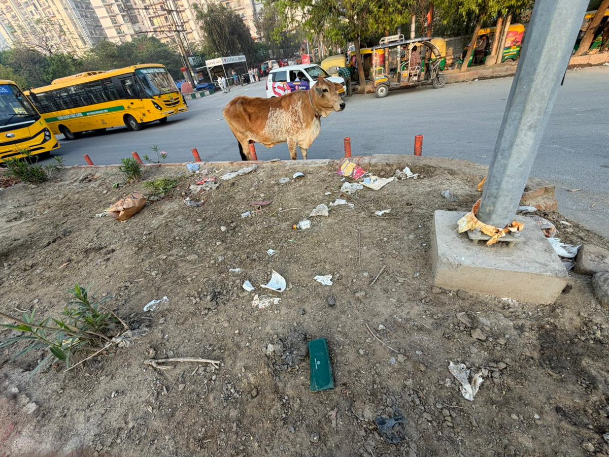 Mukul Saraogi tweet media