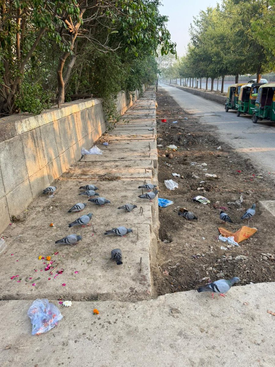 Mukul Saraogi tweet media