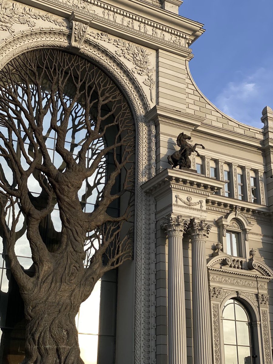 vistaaura tweet media