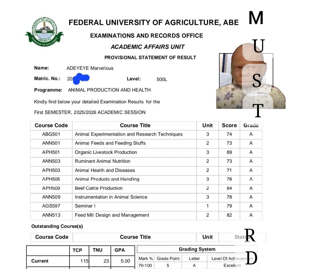 Adeyeye Marvellous Iyanuoluwa tweet media