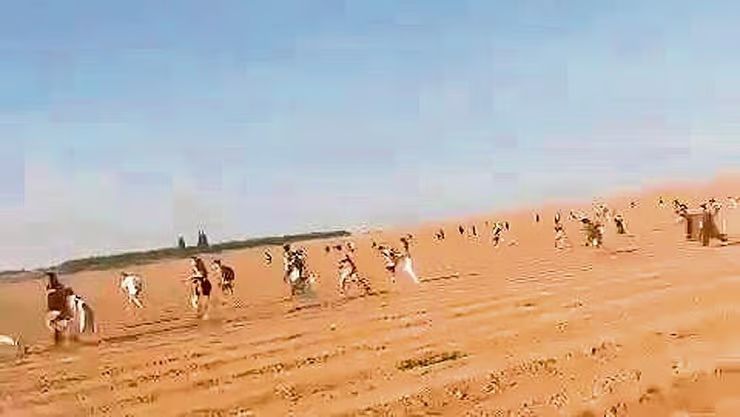 הקרן החדשה לישראל tweet media