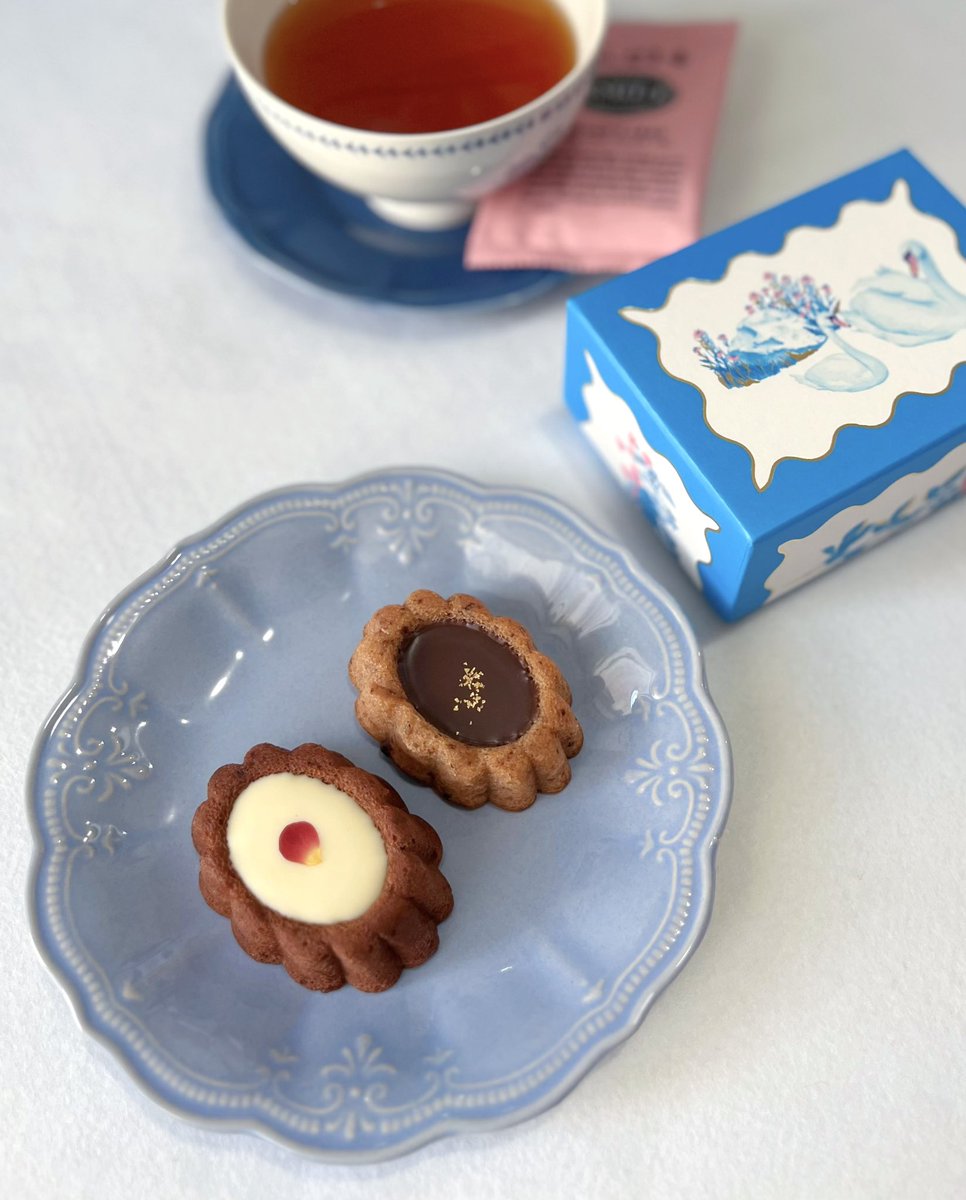 くらり🦢 tweet media