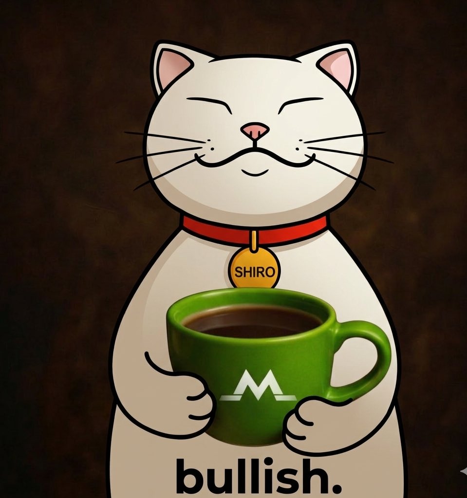 Suizen 🌬️ tweet media