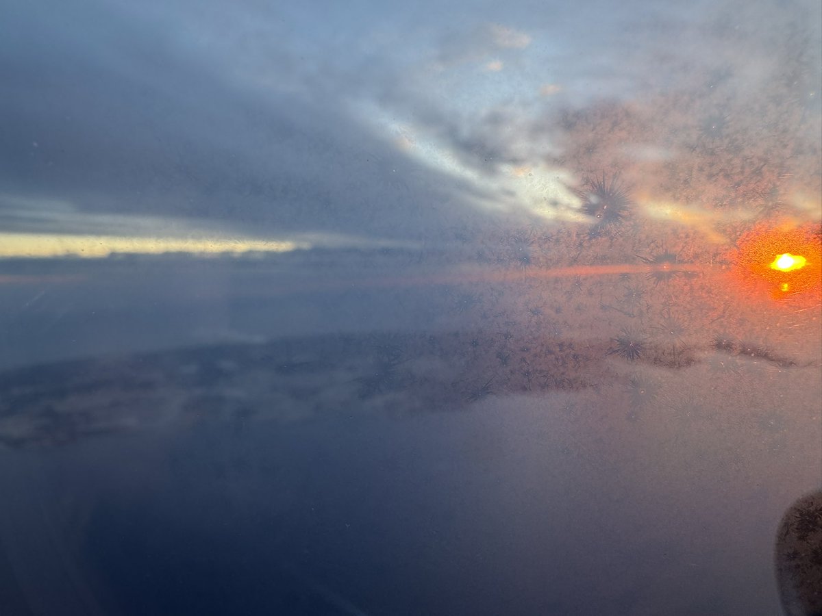 Michelle Wiese Bockmann tweet media