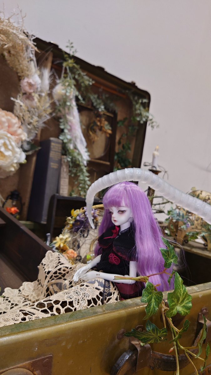 分福 瓜🦊美味しい闇鍋 tweet media