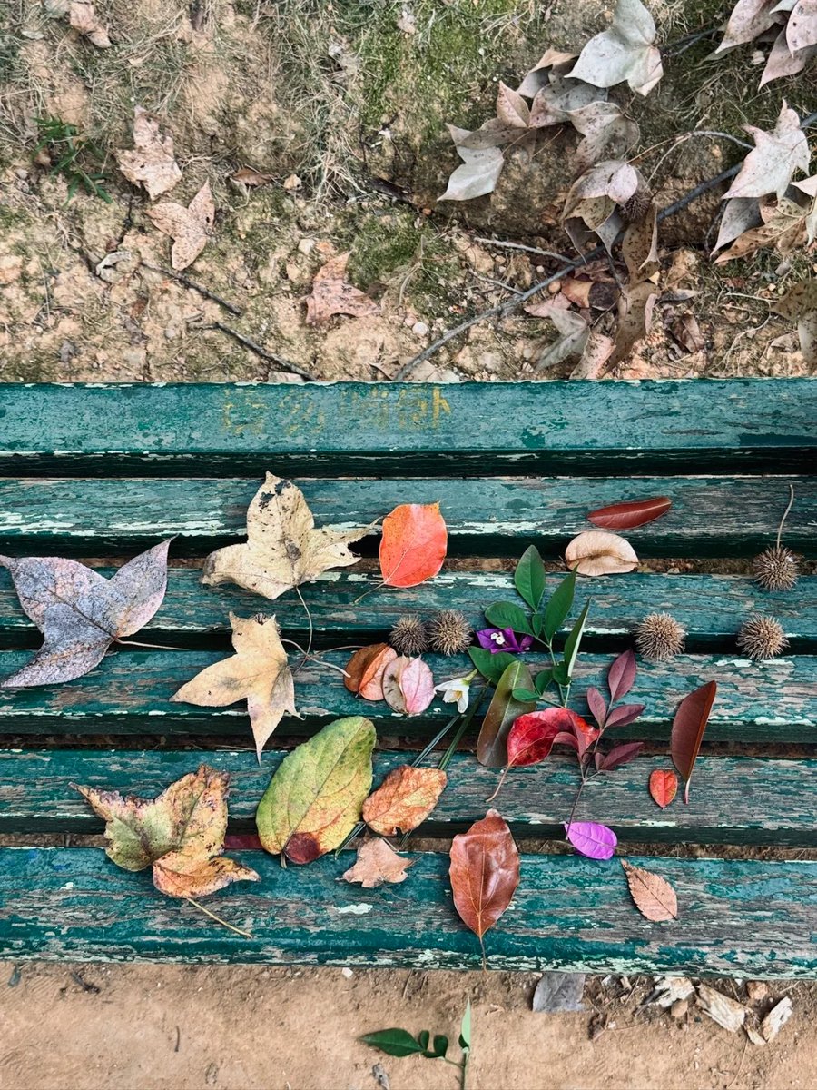 AHMED ABDALLAH tweet media