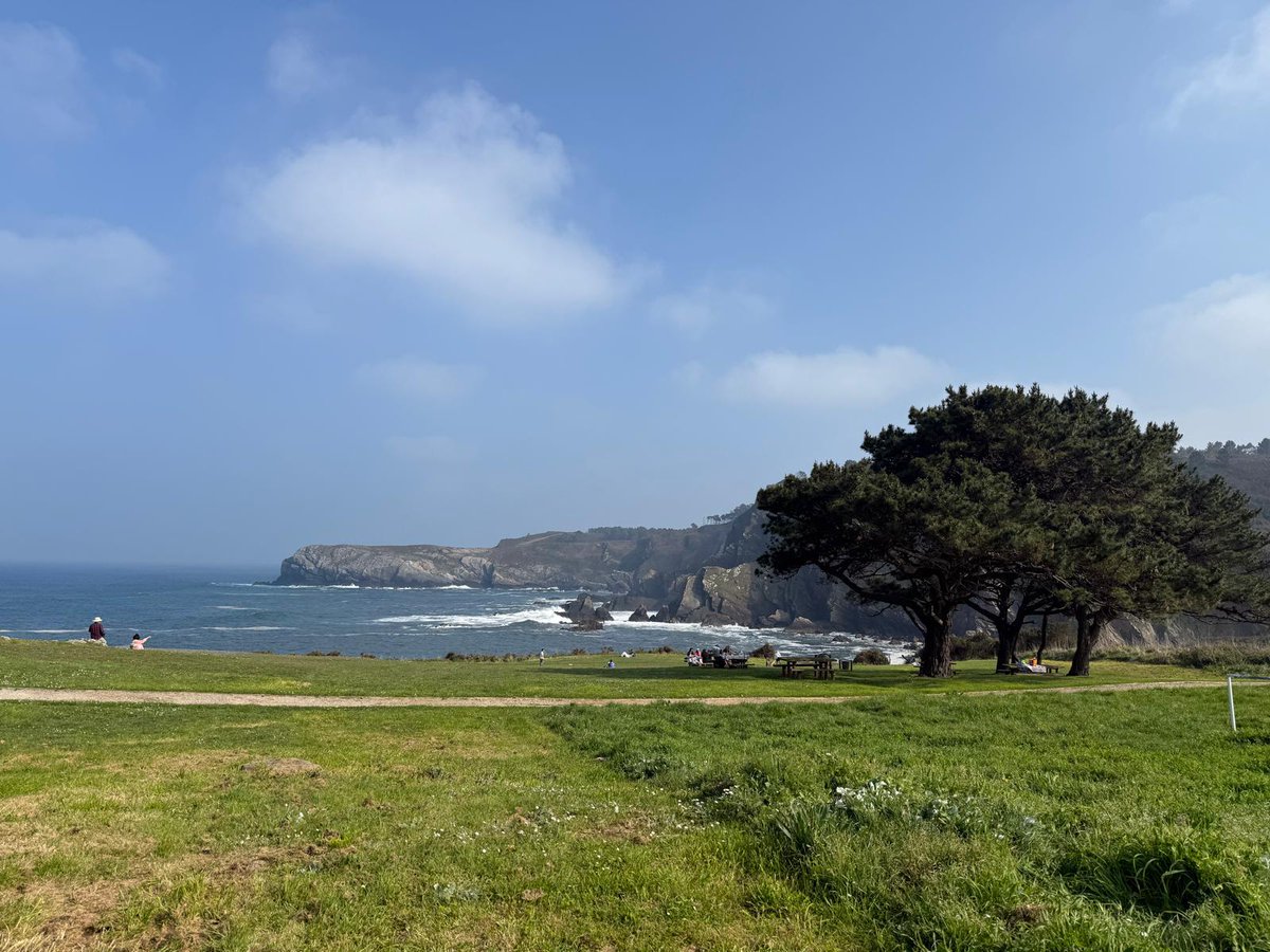 Telecable Hockey Club tweet media