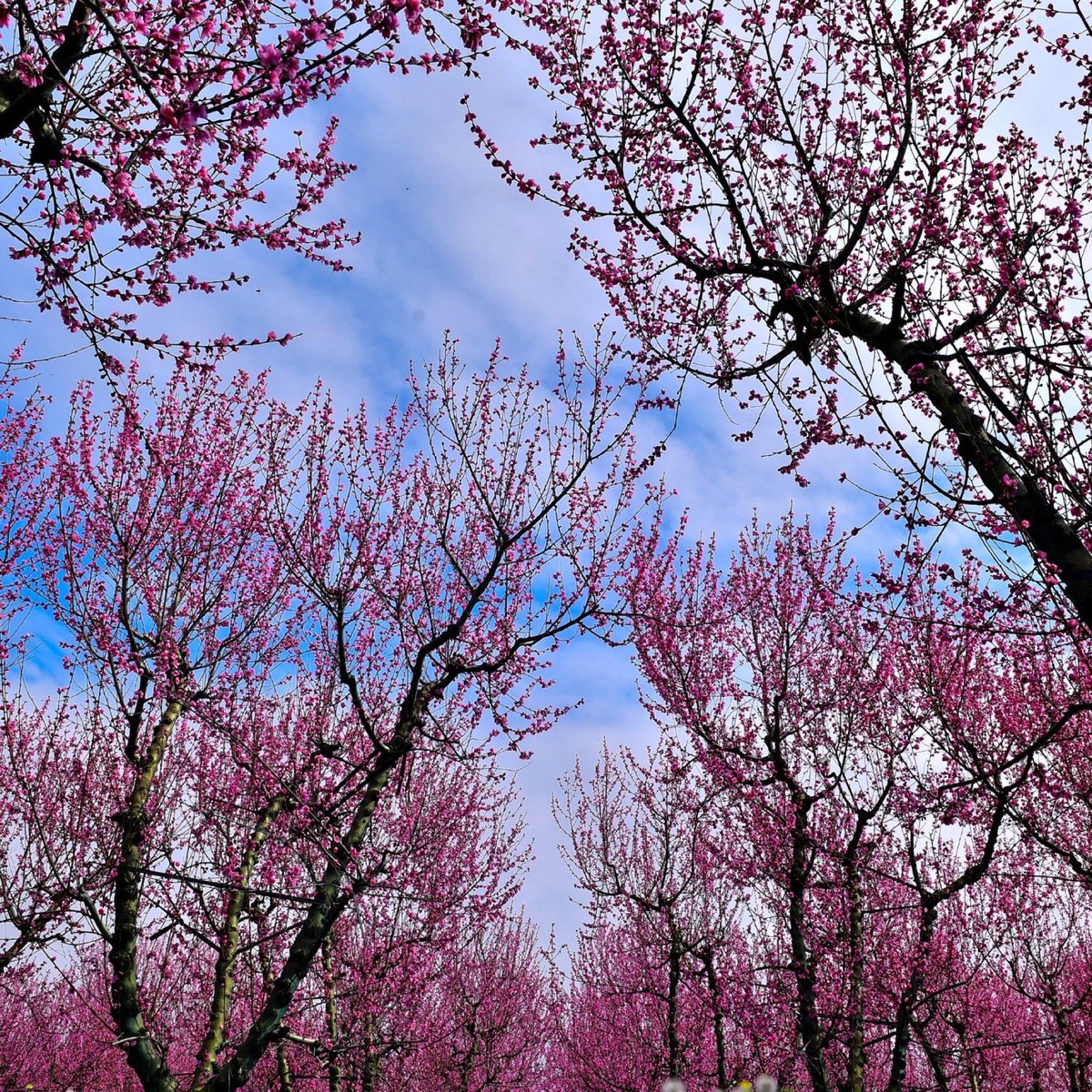 Pusholder tweet media