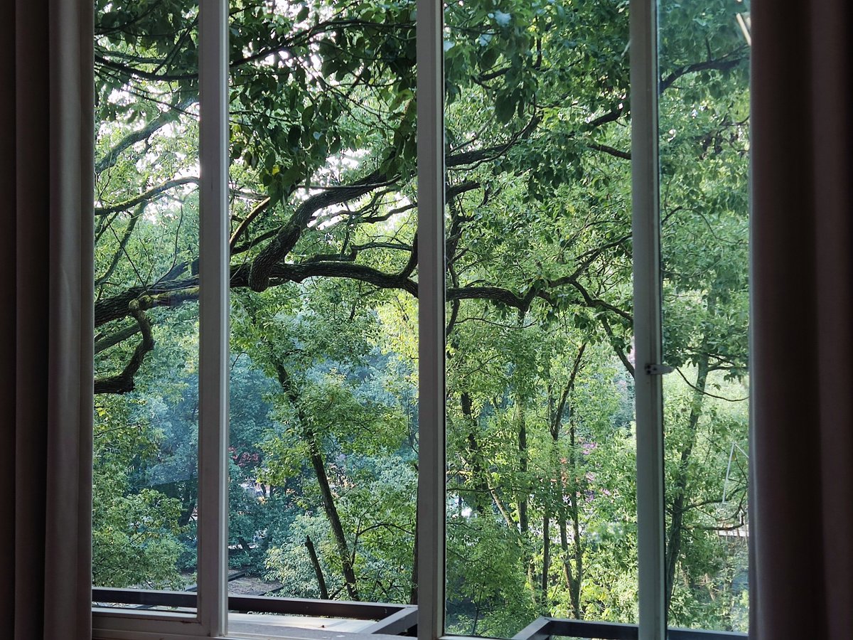 Vitor Lopes DC tweet media