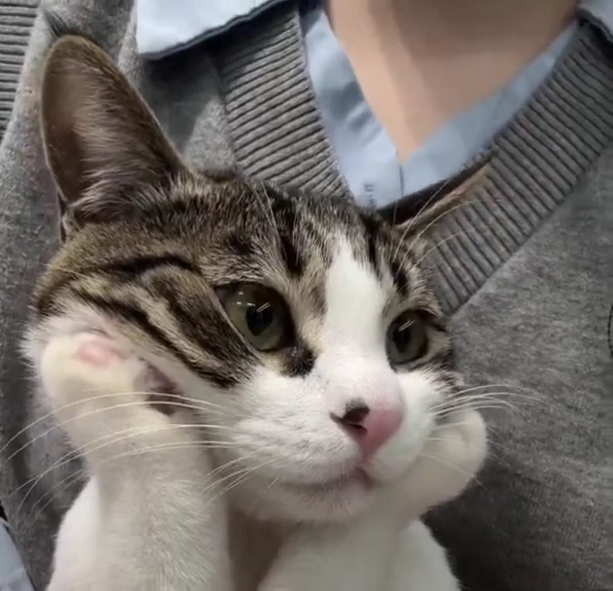 뉴팬🏆🏆🏆🏆 tweet media