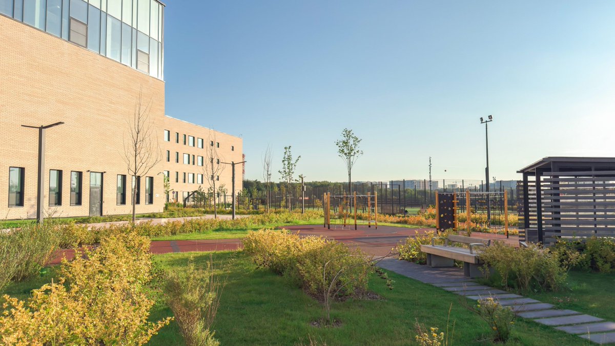 Minerva Procurement tweet media