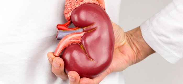 Ghost St. Patrick 🤓 tweet media