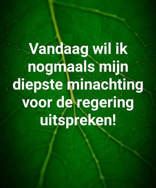 Dolly van den Berg tweet media