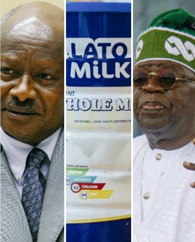 New Direction AFRICA tweet media