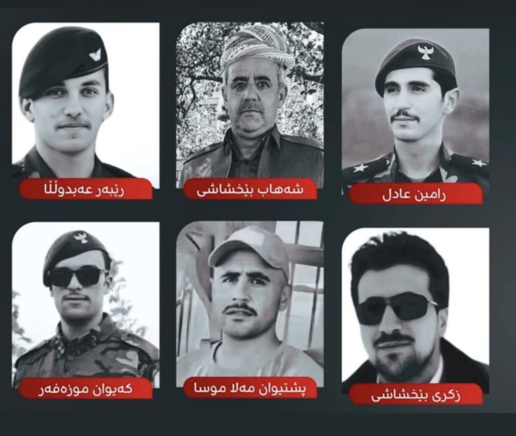 Nechir Latif tweet media