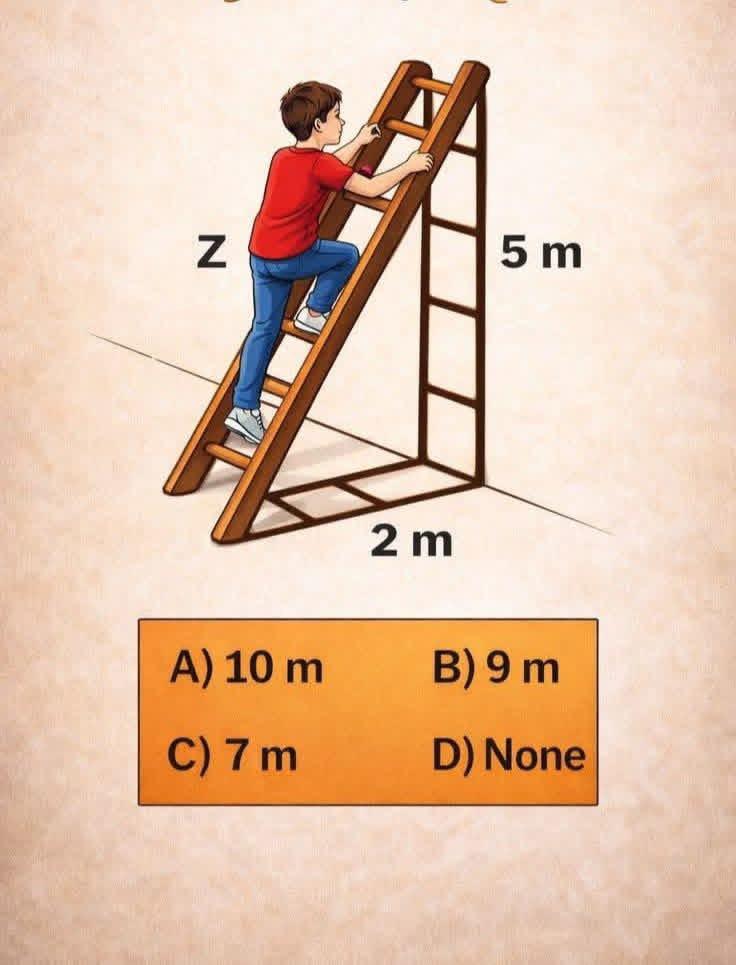 Brain IQ Test tweet media